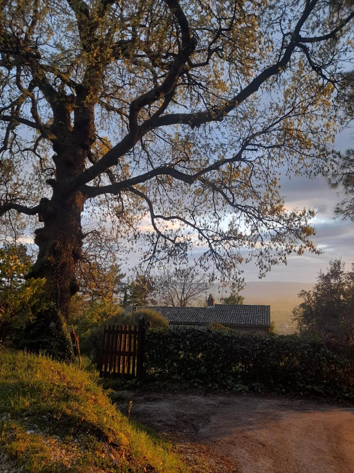 B&B Il Sentiero Di Asís Exterior foto