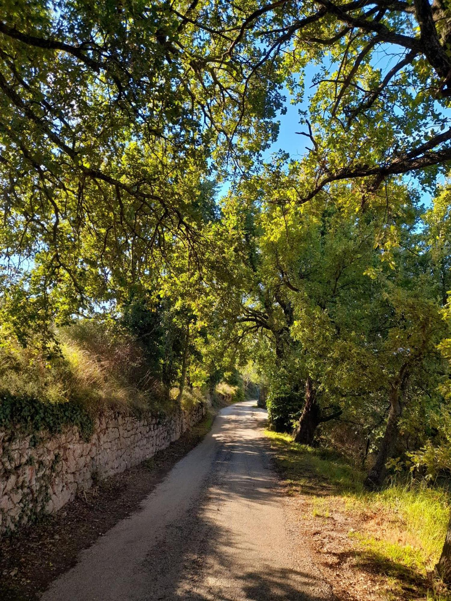 B&B Il Sentiero Di Asís Exterior foto