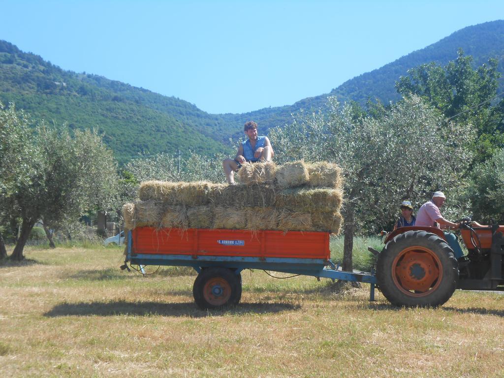 B&B Il Sentiero Di Asís Exterior foto