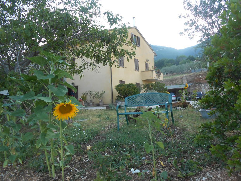 B&B Il Sentiero Di Asís Exterior foto